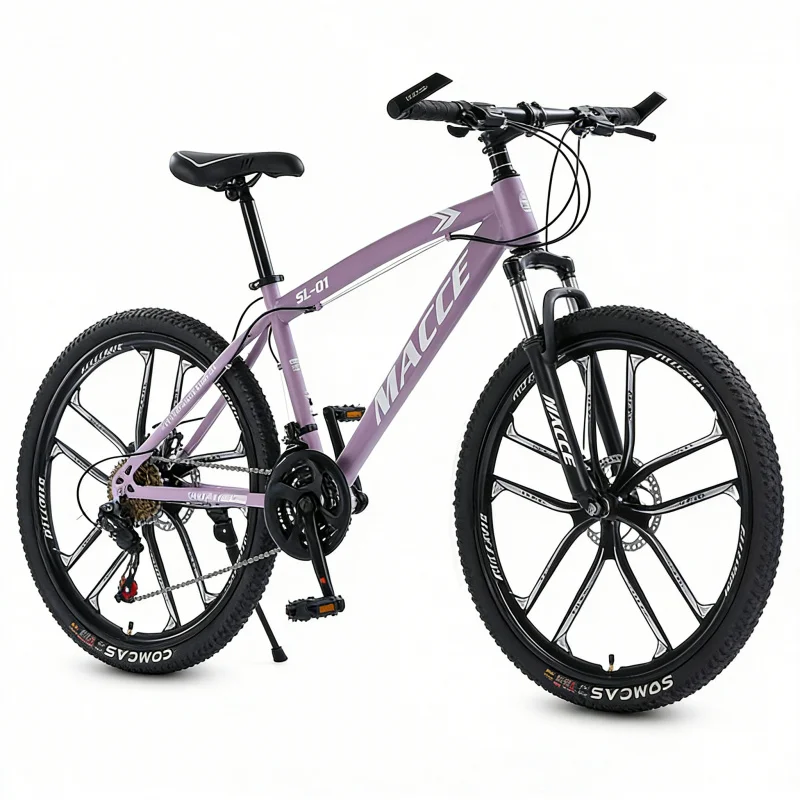 Фиолетовый 10-скоростной высок – обзор и цена Cycling Low Gear